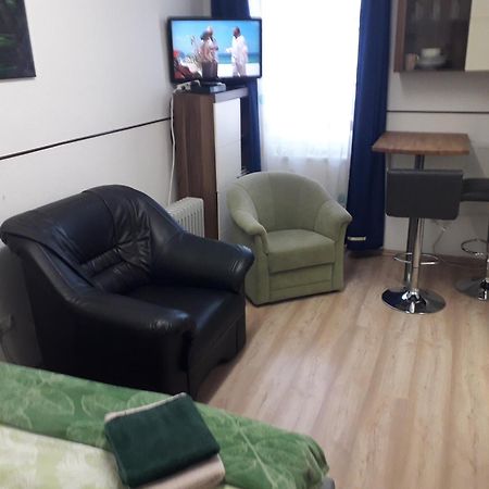 Apartment Ap 1 Im Zentrum Steyr, Bestrooms Eu Bagian luar foto